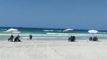 طقس الإسكندرية اليوم ودرجات الحرارة.. أجواء لطيفة